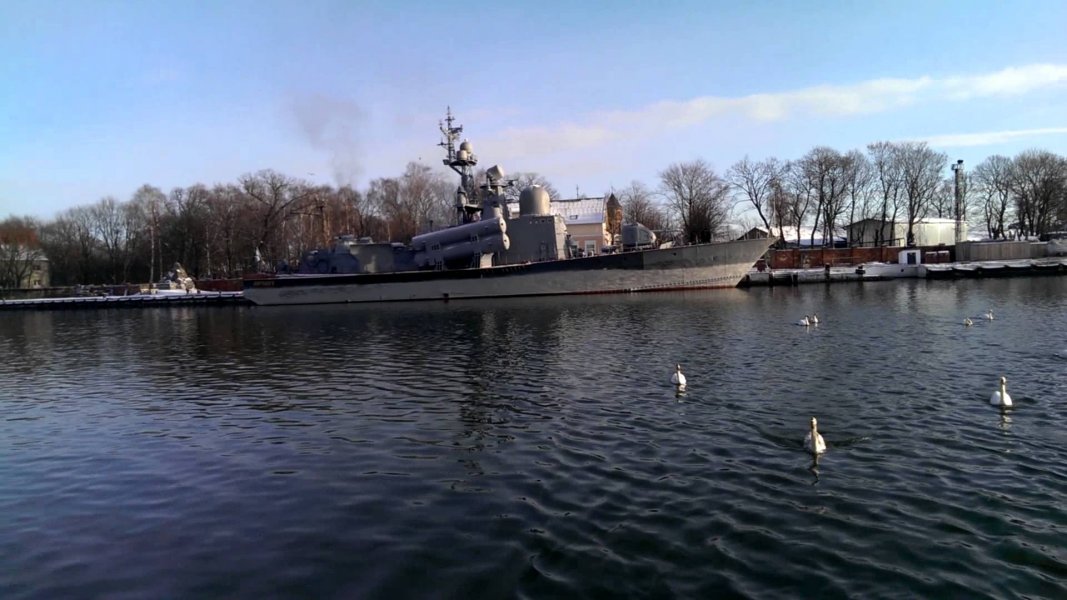 Погода в балтийске на 14. Балтийск лебеди. Балтийск зимой. Балтийск август.